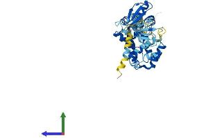 AlphaFold protein structure predicition of Human Recombinant CYTH2 Protein, UniprotID Q99418