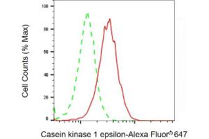 Flow cytometric analysis of Casein kinase 1 epsilon expression in HT- cells using Casein kinase 1 epsilon antibody ( (ABIN7797881), 1:2,000). (CK1 epsilon anticorps)
