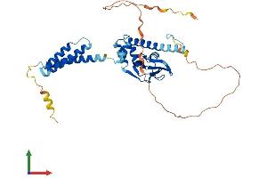 AlphaFold protein structure predicition of Human Recombinant POPDC2 Protein, UniprotID Q9HBU9