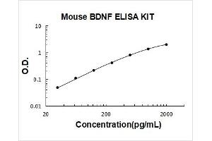 Mouse BDNF PicoKine ELISA Kit standard curve