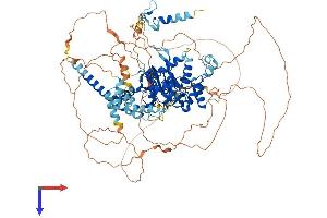 AlphaFold protein structure predicition of Human Recombinant OTUD7A Protein, UniprotID Q8TE49