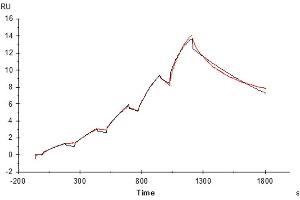Human Transferrin, His Tag immobilized on CM5 Chip can bind Human Transferrin R, His Tag with an affinity constant of 27.