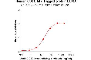 ELISA plate pre-coated by 2 μg/mL (100 μL/well) Human CD27, hFc tagged protein (ABIN6961160, ABIN7042349 and ABIN7042350) can bind Anti-CD27 Neutralizing antibody ABIN6964431 and ABIN7272567 in a linear range of 3.