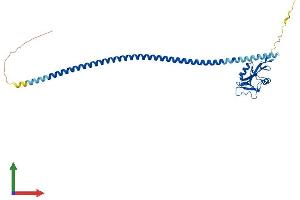 AlphaFold protein structure predicition of Mouse Recombinant Fcer2 Protein, UniprotID P20693