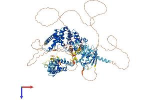 AlphaFold protein structure predicition of Mouse Recombinant Sgsm1 Protein, UniprotID Q8BPQ7