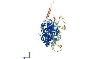 AlphaFold protein structure predicition of Human Recombinant PLA2G4A Protein, UniprotID P47712