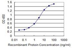 Detection limit for recombinant GST tagged IARS is 0. (IARS anticorps  (AA 1172-1262))
