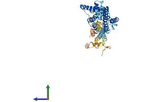 AlphaFold protein structure predicition of Mouse Recombinant Htr7 Protein, UniprotID P32304