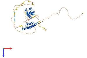 AlphaFold protein structure predicition of Human Recombinant CPSF7 Protein, UniprotID Q8N684