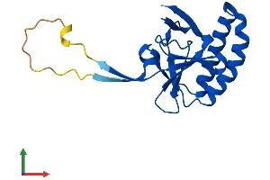 AlphaFold protein structure predicition of Human Recombinant TPT1 Protein, UniprotID P13693