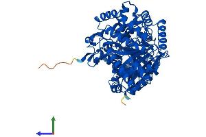 AlphaFold protein structure predicition of Human Recombinant CROT Protein, UniprotID Q9UKG9