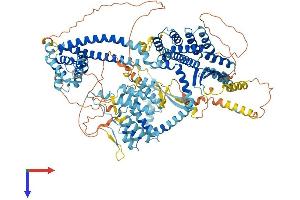 AlphaFold protein structure predicition of Mouse Recombinant Sin3b Protein, UniprotID Q62141