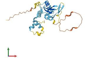 AlphaFold protein structure predicition of Mouse Recombinant Socs3 Protein, UniprotID O35718
