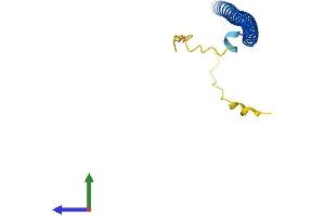 AlphaFold protein structure predicition of Mouse Recombinant Batf3 Protein, UniprotID Q9D275