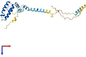 AlphaFold protein structure predicition of Mouse Recombinant Dnajc5b Protein, UniprotID Q9CQ94