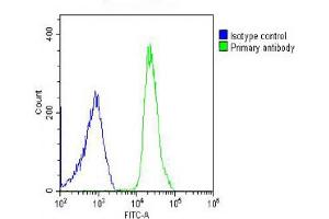 Overlay histogram showing U-2OS cells stained with (ABIN6243678 and ABIN6578556) (green line).