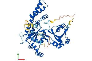 AlphaFold protein structure predicition of Human Recombinant OLA1 Protein, UniprotID Q9NTK5