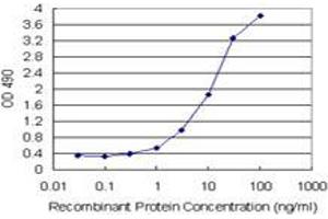 ZFYVE19 (Human) Matched Antibody Pair