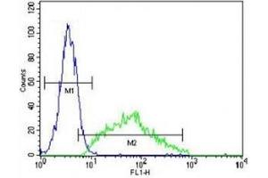 LEP antibody flow cytometric analysis of HeLa cells (right histogram) compared to a negative control (left histogram).