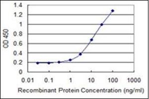 ELISA image for anti-Malate Dehydrogenase 2, NAD (Mitochondrial) (MDH2) antibody (ABIN953359)