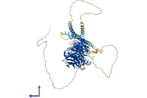 AlphaFold protein structure predicition of Mouse Recombinant Cop1 Protein, UniprotID Q9R1A8