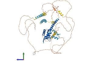 AlphaFold protein structure predicition of Mouse Recombinant Foxp2 Protein, UniprotID P58463