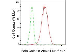 Flow cytometric analysis of beta Catenin expression in C2C12 cells using beta Catenin antibody (ABIN7797936), 1:2,000).