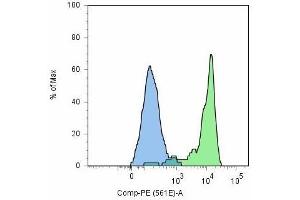Flow cytometry analysis (surface staining) of GCPII / PSMA using anti-GCPII (GCP-05) and goat anti-mouse-PE on LNCaP cell line (positive, green) and HeLa cells (negative, blue).