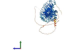 AlphaFold protein structure predicition of Mouse Recombinant Lrrc8d Protein, UniprotID Q8BGR2