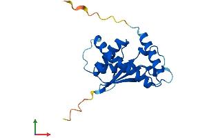 AlphaFold protein structure predicition of Human Recombinant TRAPPC3L Protein, UniprotID Q5T215