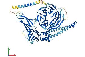 AlphaFold protein structure predicition of Mouse Recombinant Bbs2 Protein, UniprotID Q9CWF6