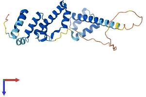 SIX Homeobox 6 (SIX6) (AA 1-246) protein (His tag)