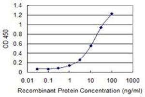 Detection limit for recombinant GST tagged MOBP is 0. (MOBP anticorps  (AA 1-81))
