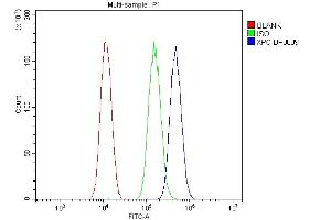 Flow Cytometry analysis of A549 cells using anti-XPC antibody (ABIN7600078).