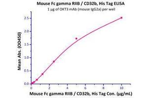 Immobilized OKT3 mAb (mouse IgG2a) at 10 μg/mL (100 μl/well) can bind Mouse Fc gamma RIIB / CD32b, His Tag (Cat# CDB-M52H7) with a linear range of 0.