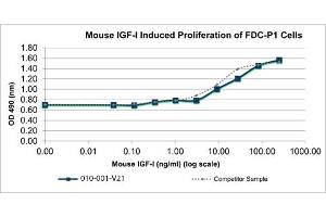 SDS-PAGE of Mouse Insulin-like Growth Factor I Recombinant Protein Bioactivity of Mouse Insulin-like Growth Factor I Recombinant Protein. (IGF1 Protéine)