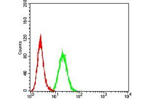 Flow cytometric analysis of HeLa cells using BCL2L10 mouse mAb (green) and negative control (red). (BCL2L10 anticorps  (AA 31-186))
