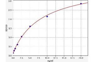 Ribonuclease T2 (RNASET2) ELISA Kit