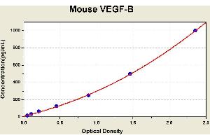 Diagramm of the ELISA kit to detect Mouse VEGF-Bwith the optical density on the x-axis and the concentration on the y-axis. (VEGFB Kit ELISA)
