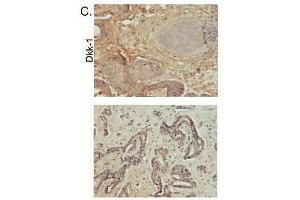 Image kindly submitted by Dr.