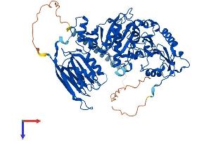 AlphaFold protein structure predicition of Human Recombinant POMGNT1 Protein, UniprotID Q8WZA1