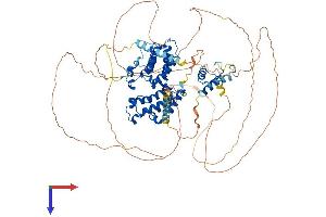 AlphaFold protein structure predicition of Human Recombinant BRD2 Protein, UniprotID P25440
