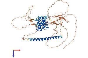 AlphaFold protein structure predicition of Mouse Recombinant Banp Protein, UniprotID Q8VBU8