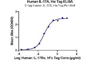 Immobilized Human IL-17A, His Tag at 1 μg/mL (100 μL/Well) on the plate. (Interleukin 17a Protein (AA 24-155) (His tag))