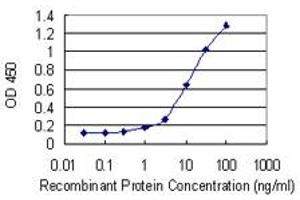 Detection limit for recombinant GST tagged HSF4 is 0.