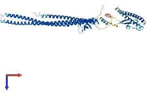 AlphaFold protein structure predicition of Human Recombinant NOSTRIN Protein, UniprotID Q8IVI9