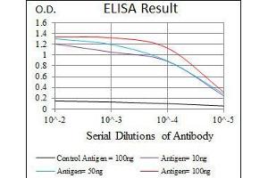 Black line: Control Antigen (100 ng), Purple line: Antigen(10 ng), Blue line: Antigen (50 ng), Red line: Antigen (100 ng),