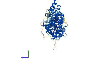 AlphaFold protein structure predicition of Human Recombinant COASY Protein, UniprotID Q13057