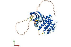 AlphaFold protein structure predicition of Human Recombinant AURKB Protein, UniprotID Q96GD4