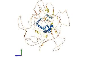 AlphaFold protein structure predicition of Mouse Recombinant Synpo2l Protein, UniprotID Q8BWB1